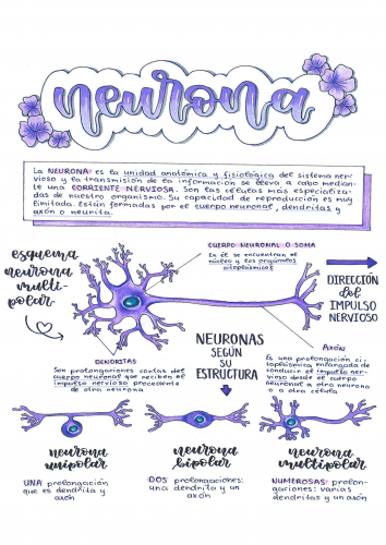 NEURONA