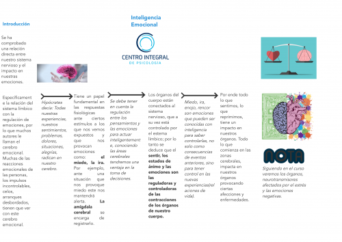 Inteligencia Emocional