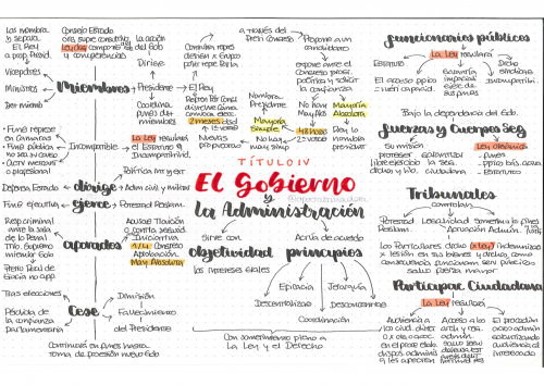 Pack Constitución española customizada + esquemas