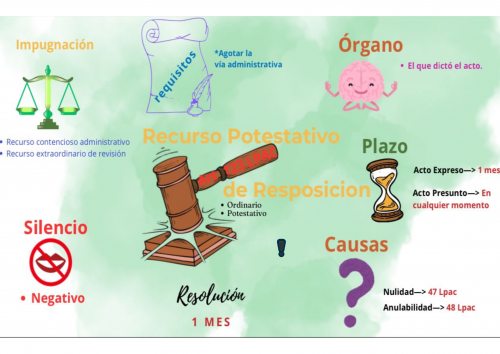 Esquema Recurso de Reposición