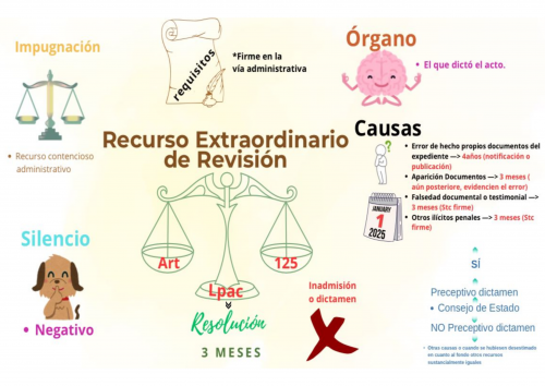 Esquema Recurso Extraordinario de Revisión